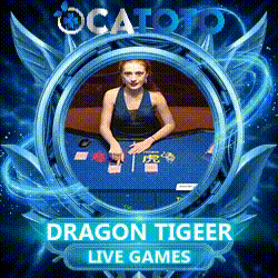 dragontiger.gif